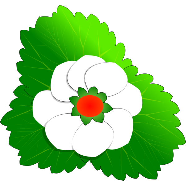 Strawberry Flower Jh PNG Clip art