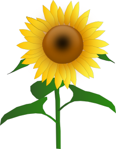 Sunflower Jh PNG Clip art