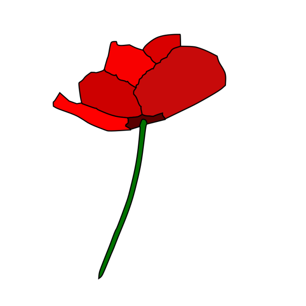 Poppy Flower PNG Clip art