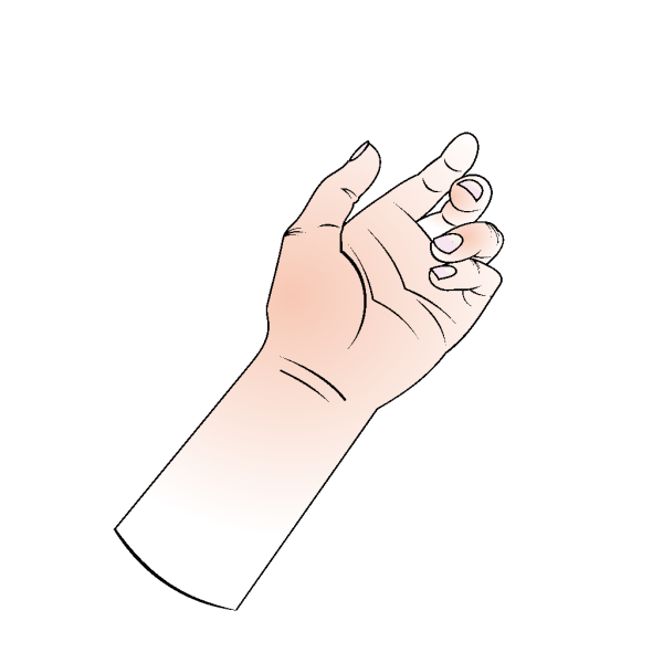 Holding Hand PNG Clip art