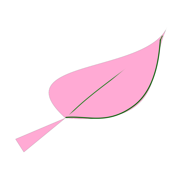 Outline Leaf PNG Clip art