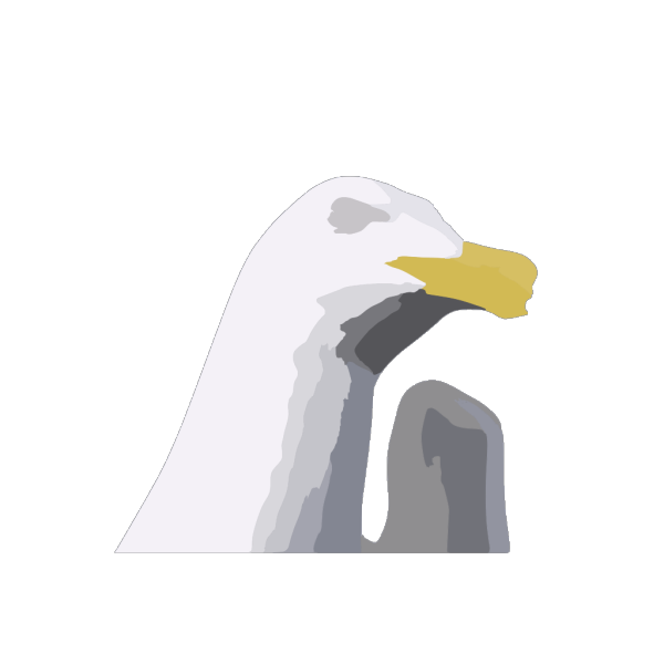 Seagulllg PNG Clip art