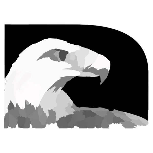 Eagle Head PNG Clip art