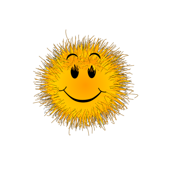 Fluffy Smiley PNG Clip art