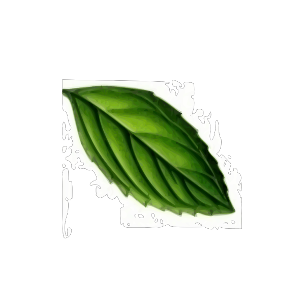 Mint Leaf PNG Clip art