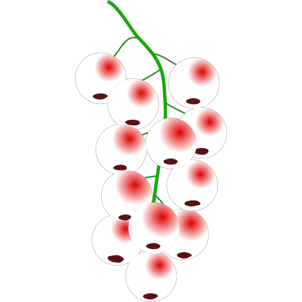 Redcurrant PNG images