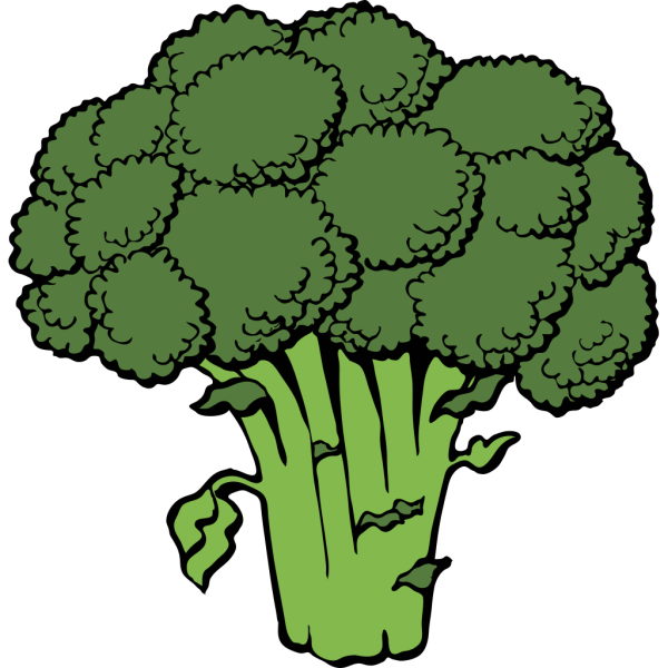 Broccoli Outline  PNG images