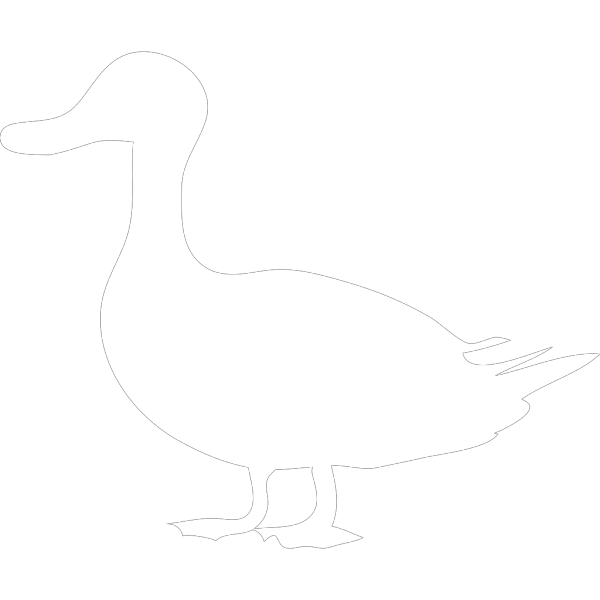 Standing Duck PNG images