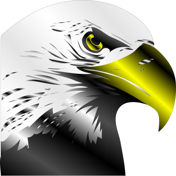 Bald Eagle PNG icons