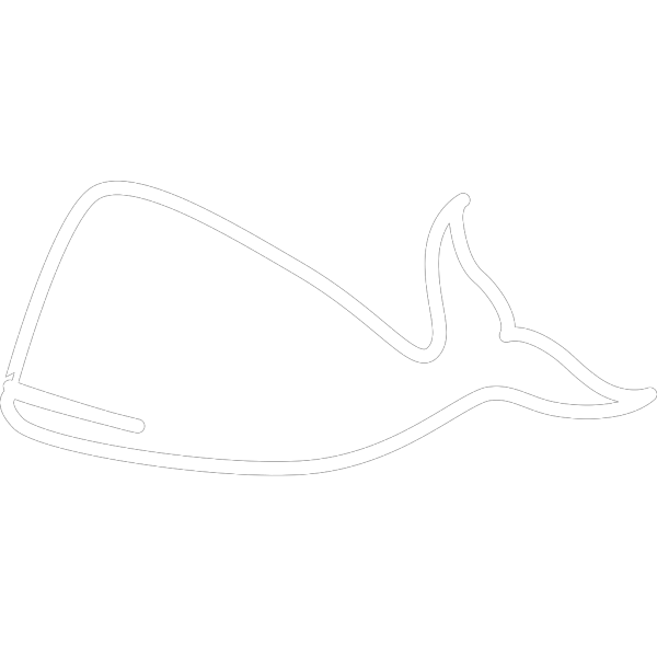White Whale Outline PNG Clip art