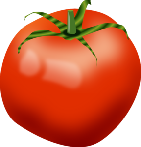 Tomato PNG Clip art