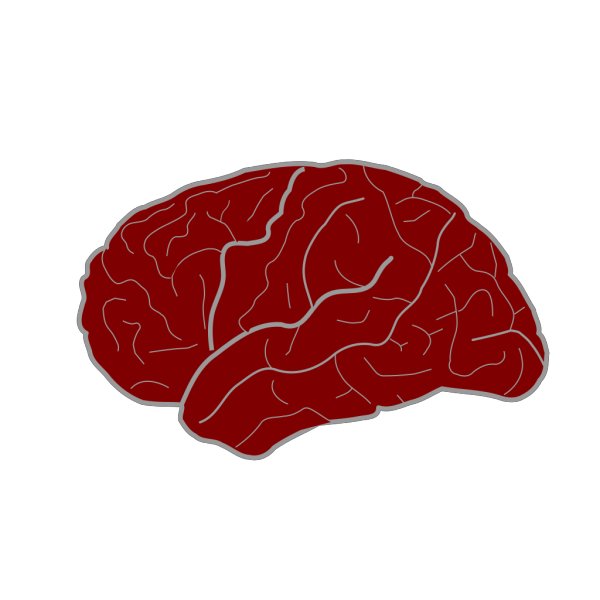 Red Brain PNG Clip art