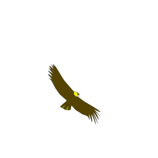 Condor Colombiano PNG images