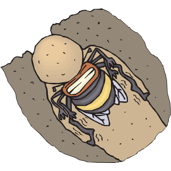 Bee Burrowing PNG images