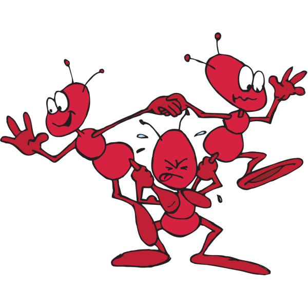 Ant Acrobats PNG images