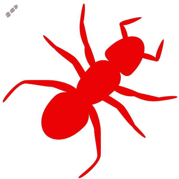 Red Ant On A Leaf PNG Clip art