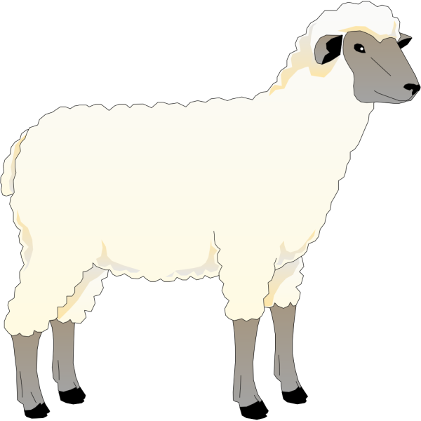 Sheep Side View PNG Clip art