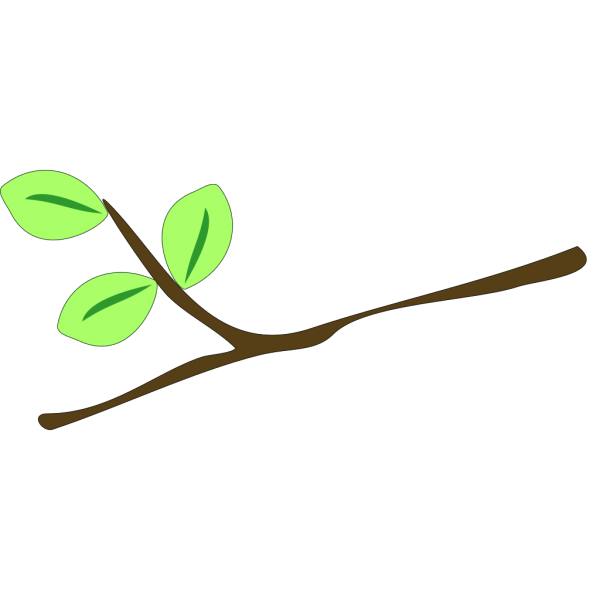 Twig PNG images