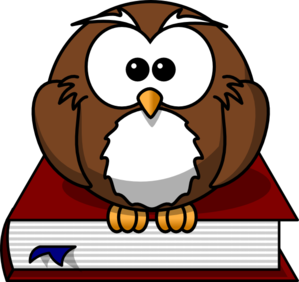 Cartoon Owl Sitting On A Book PNG Clip art