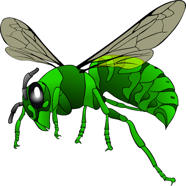 Green Hornet PNG Clip art
