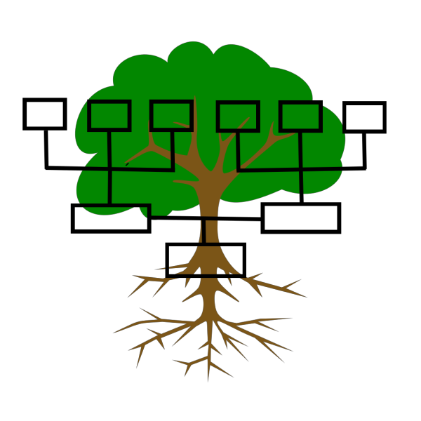 Family Tree PNG Clip art