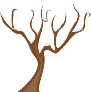 Tree Without Leaves PNG Clip art