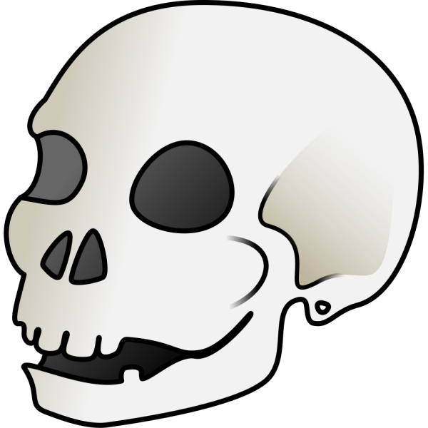 Cartoon Skull PNG Clip art