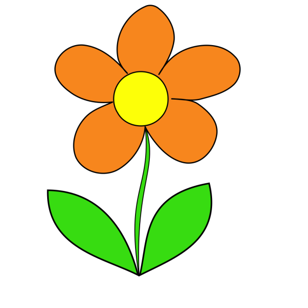 Orange Flower PNG Clip art