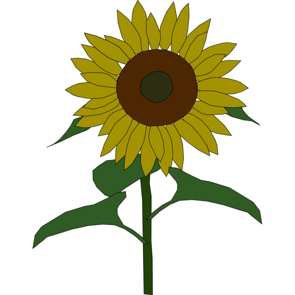 Cartoon Sunflower PNG Clip art