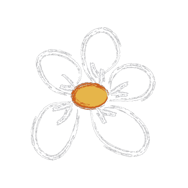 Burgundy-white Daisy PNG Clip art