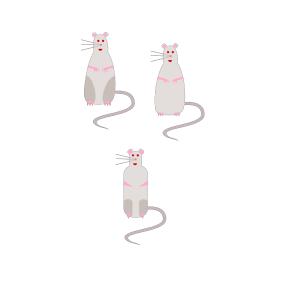 Rat PNG Clip art