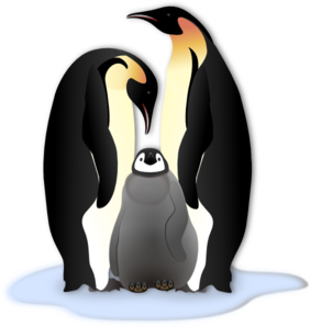 Penguin Family PNG images