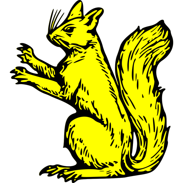 Squirrel  PNG Clip art