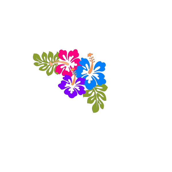 Hibiscus  PNG Clip art