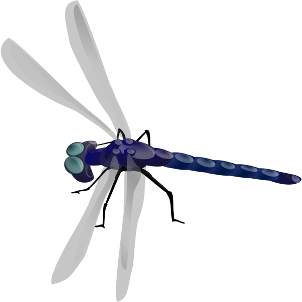 Dragonfly 3 PNG images