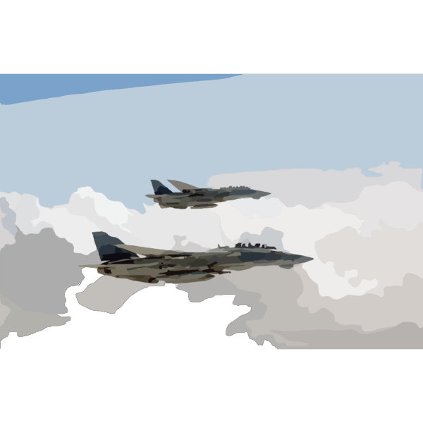 F-14 Tomcat PNG images