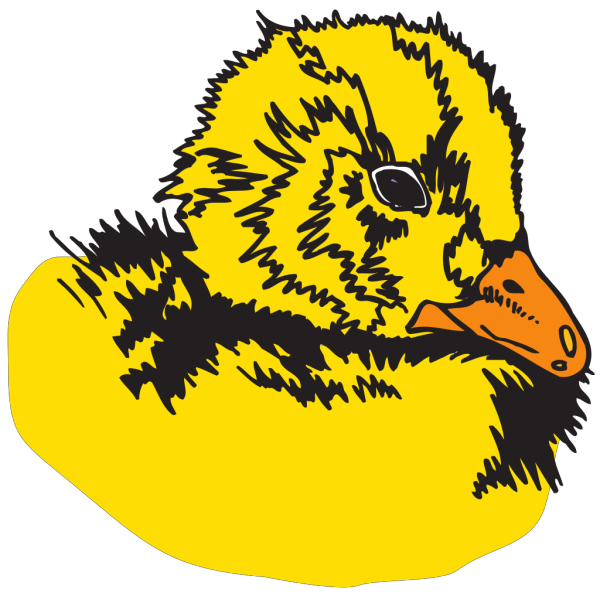 Duckling PNG Clip art