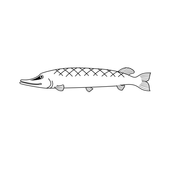 Fish Outline 2 PNG Clip art
