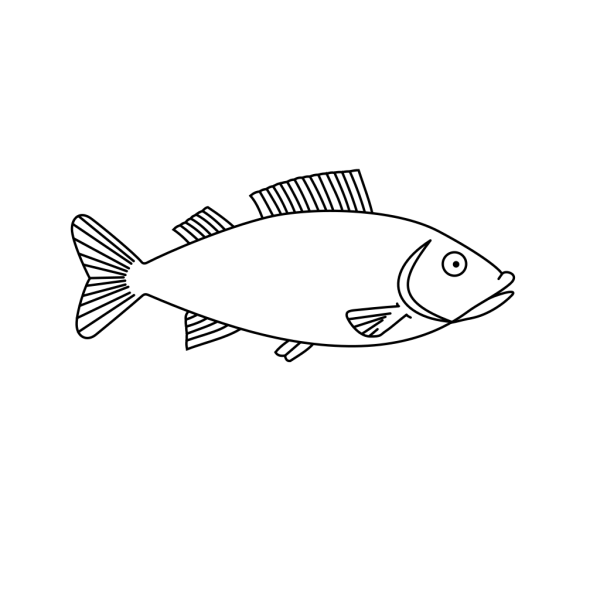 Fish Outline 3 PNG Clip art