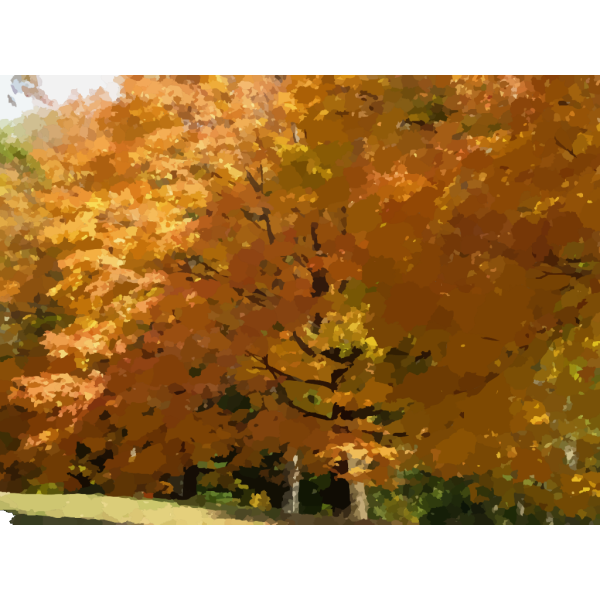 Trees Fall Colors PNG Clip art
