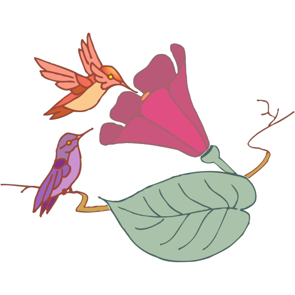Hummingbirds And A Flower PNG images