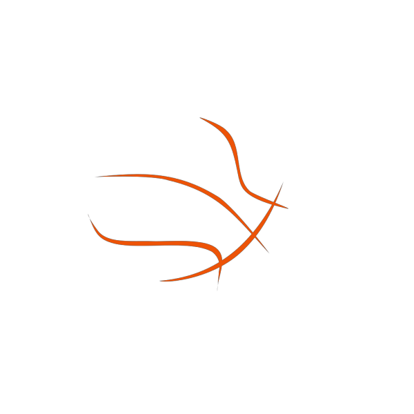 Basketball Outline PNG Clip art