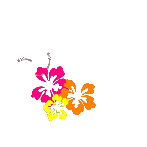 Hibiscus 22 PNG Clip art