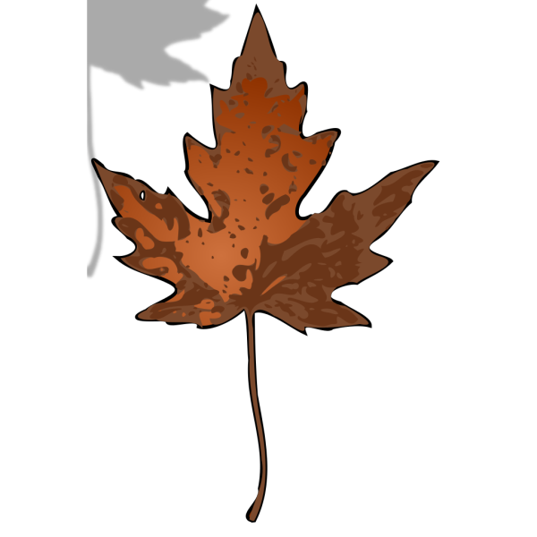 Maple Leaf PNG Clip art