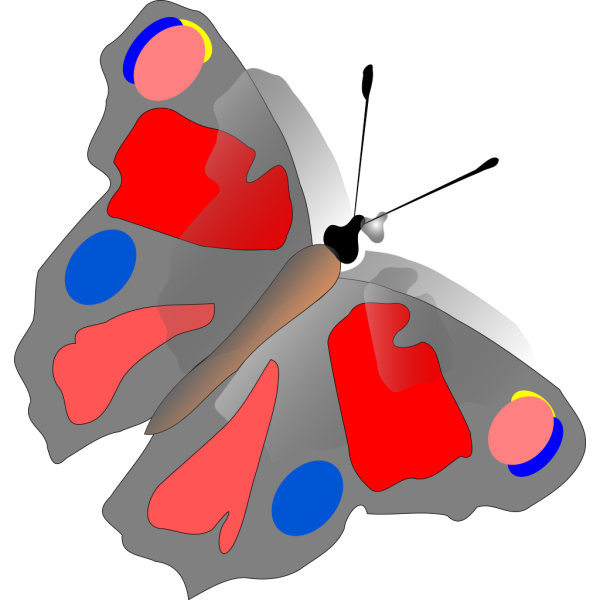 Multicolored Butterfly PNG Clip art