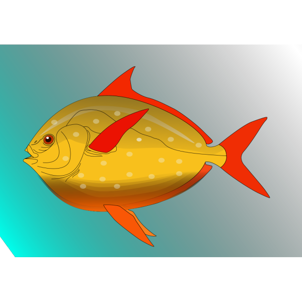 Colorful Fish In Water PNG Clip art