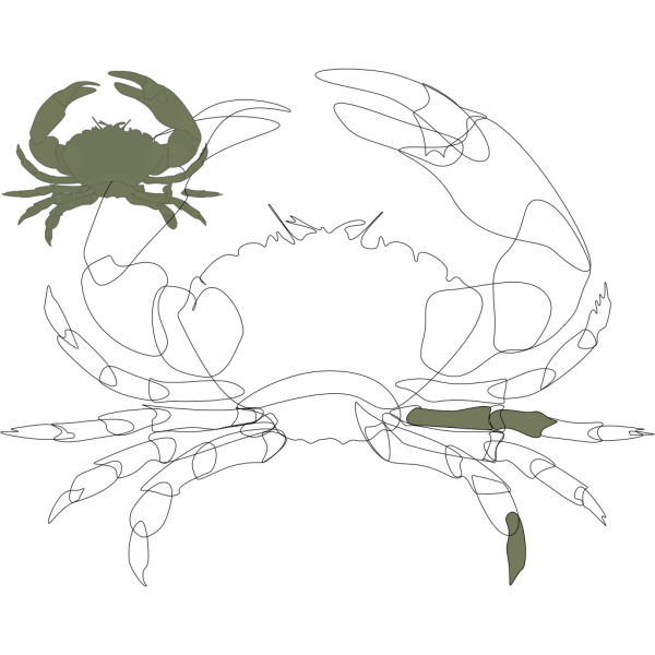 Green Crab PNG Clip art