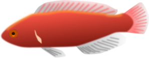 Red Aquarium Fish PNG Clip art