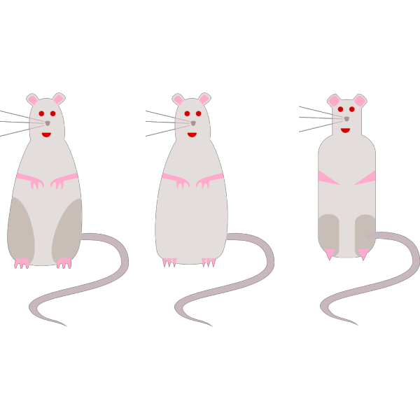 Three Different Rats PNG Clip art
