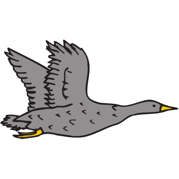 Gray Bird PNG Clip art